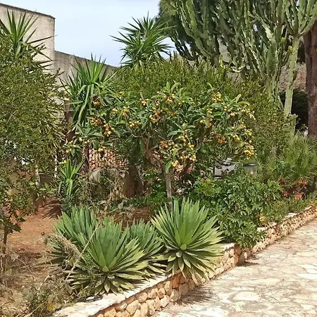 Indipendente Con Patio Giardino E Parcheggio * Castelluzzo